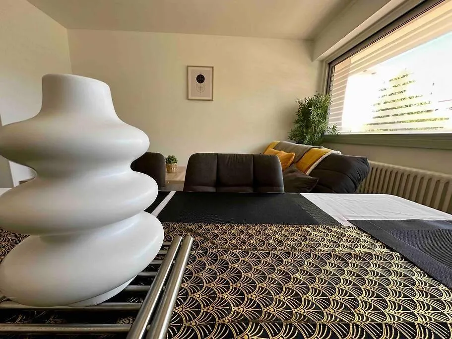Appartement Centre De Vichy France